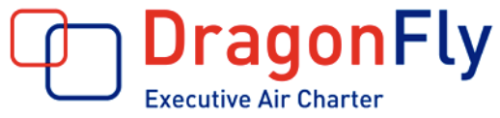Dragonfly's logo