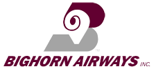 Dornier 228's logo