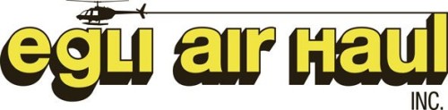 Cessna 206 Stationair's logo