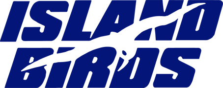 PA-31 Chieftain's logo