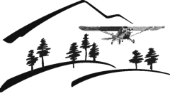 Cessna 206 Stationair's logo