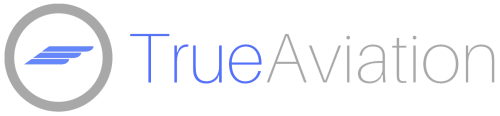 True Aviation Charter Services, llc's logo