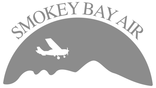 Cessna 206 Stationair's logo