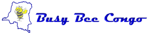 BUSY BEE CONGO's logo