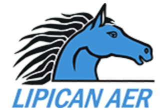 Ipican Aer d.o.o.'s logo