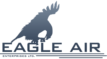 Eagle Air Enterprises's logo