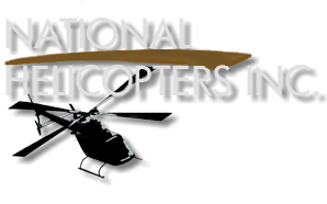 206L LongRanger's logo