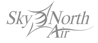 King Air 200's logo