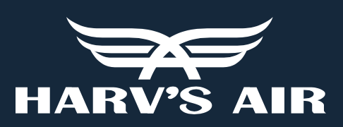 95 Travel Air's logo