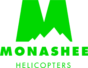 212 Twin Two-Twelve's logo