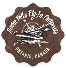 DHC-3 Otter's logo