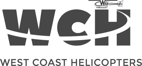 206B JetRanger's logo