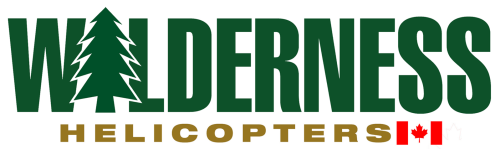 212 Twin Two-Twelve's logo