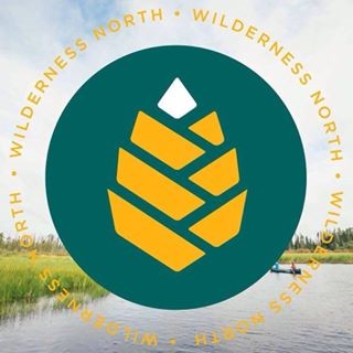 208 Grand Caravan's logo