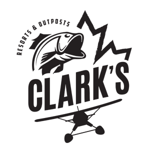 CLARK'S AIR SERVICE's logo