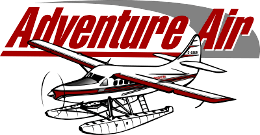 208 Grand Caravan's logo