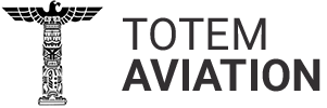 Cessna 170's logo