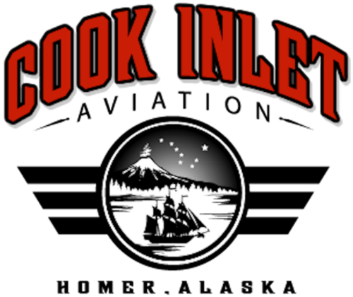 Cessna 206 Stationair's logo