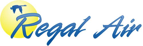 Cessna 206 Stationair's logo