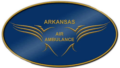 PA-31T Cheyenne 2XL's logo