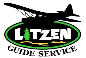 Cessna 206 Stationair's logo