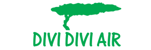 DIVI DIVI AIR's logo