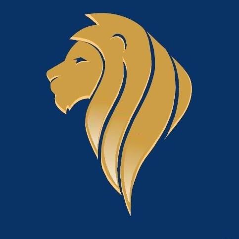 Paul Lyons Aviation's logo