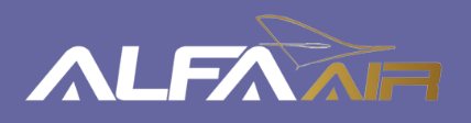 Falcon 20's logo