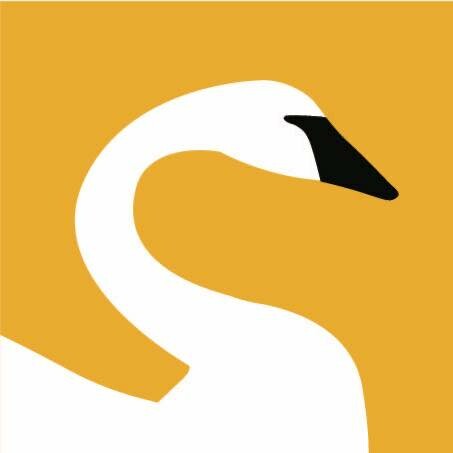 Cessna 206 Stationair's logo