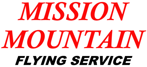 Cessna 206 Stationair's logo