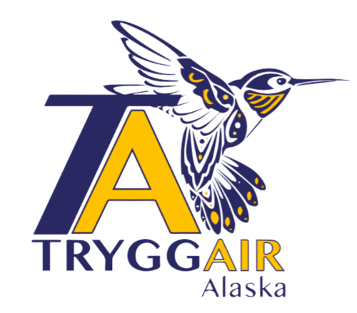 Cessna 185 Skywagon's logo